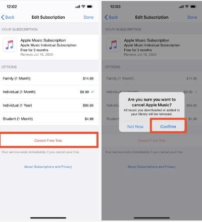 Manage Subscriptions On iPhone