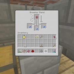 Potion of weakness