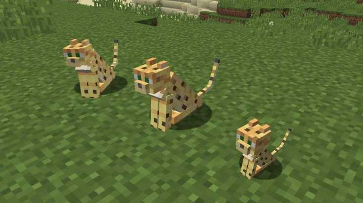tame a cat in minecraft