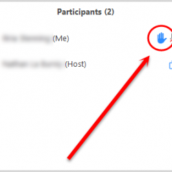 How to Raise Hand on Zoom