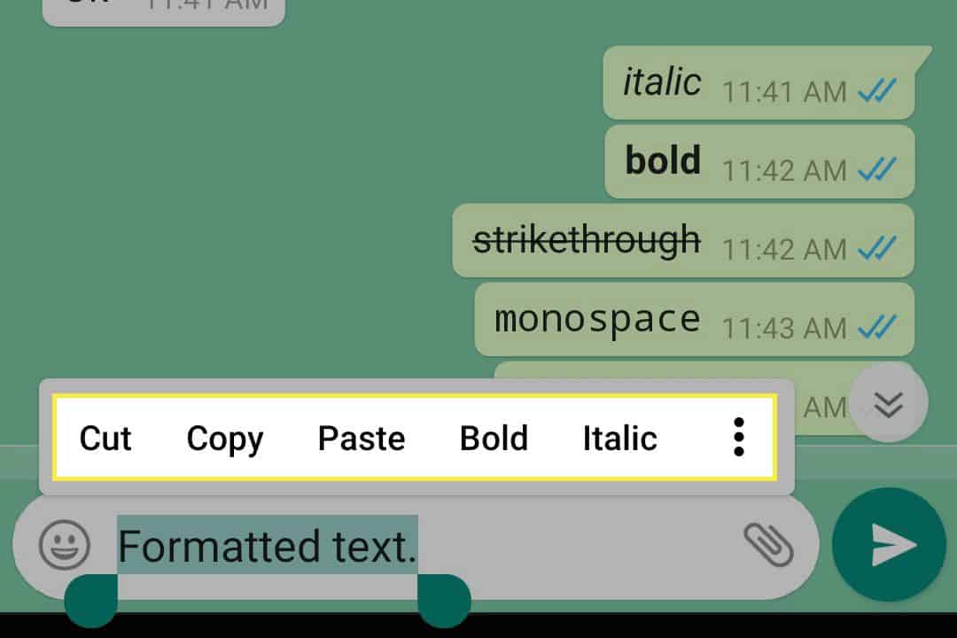 use Italics and strikethrough on WhatsApp