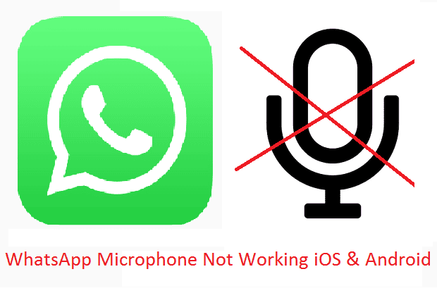 How to fix WhatsApp Audio Notes not Playing