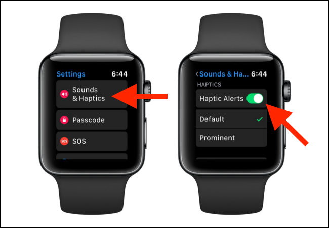 turn off ringer on Apple Watch
